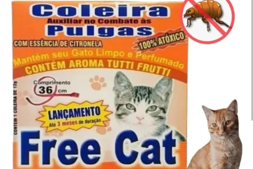 item delicioso