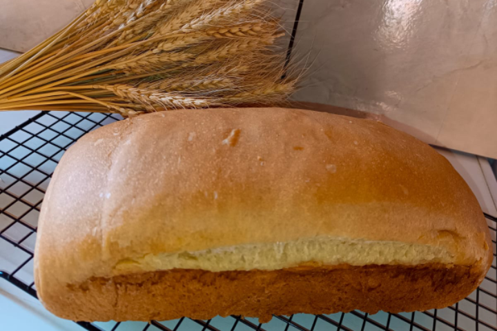item delicioso