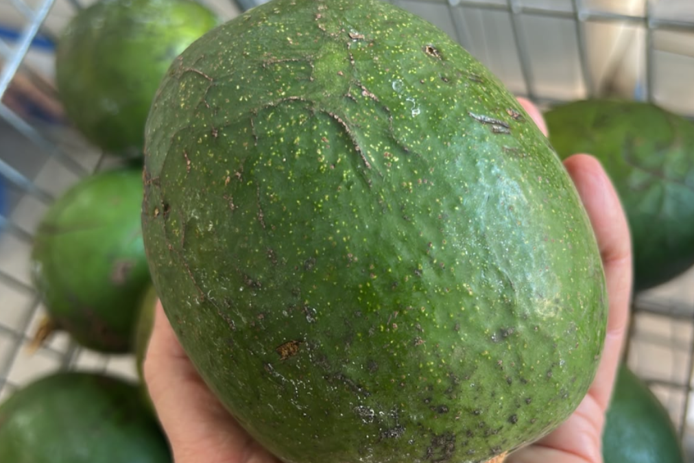 item delicioso