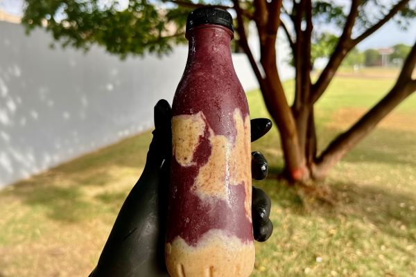 item delicioso