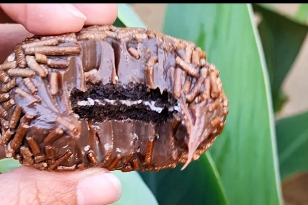 item delicioso