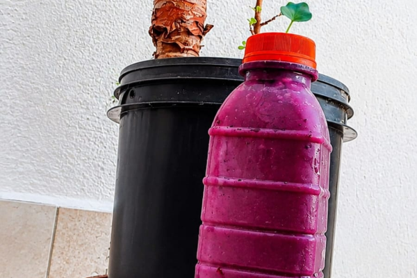 item delicioso