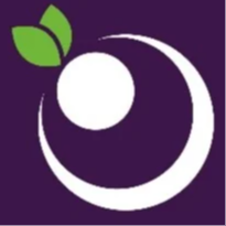 D'gust Açaiteria - Campo Mourão - logo