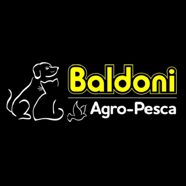 Baldoni Construção - logo