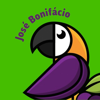 Di Matteo Açaí - José Bonifácio - logo