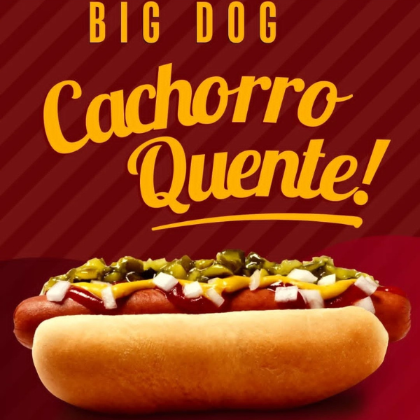 Big dog delivery - logo