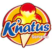 Knatus Sorvetes - logo