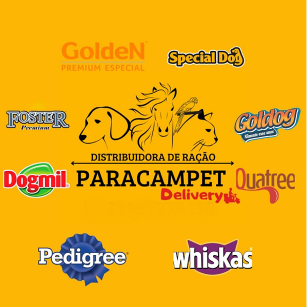 Paracampet - logo