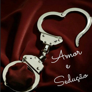 Sex Shop Amor e Sedução  - logo