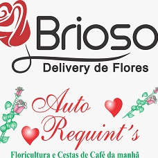 Auto Requintes Floricultura  - logo