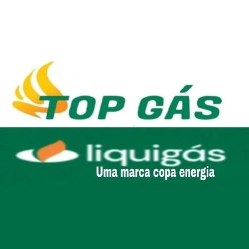 Top Gás - logo