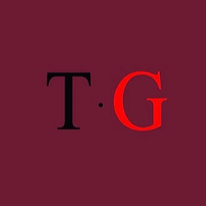 Distribuidora TG - logo