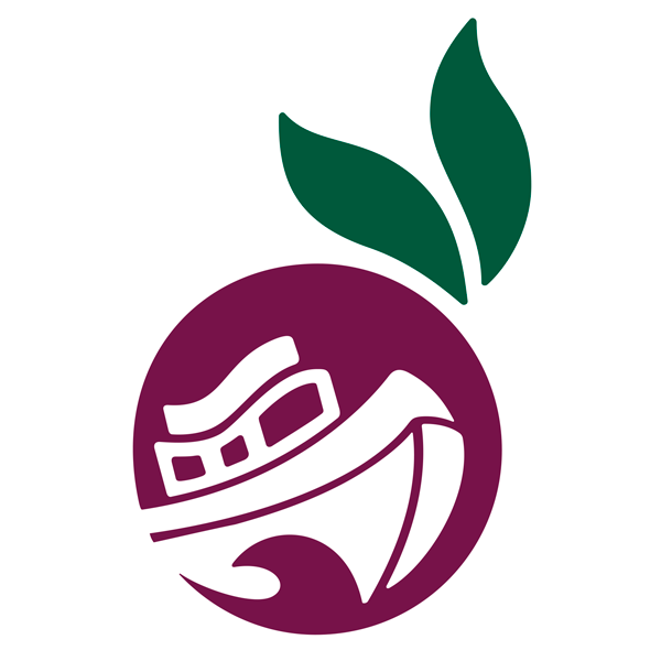 Açaí da Barra Cerro Largo - logo