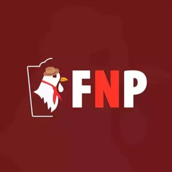 FNP SANTA CRUZ DO SUL  - logo