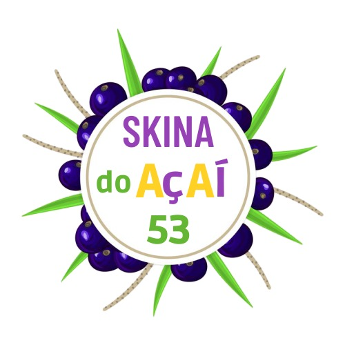 Skina do açaí 53  - logo