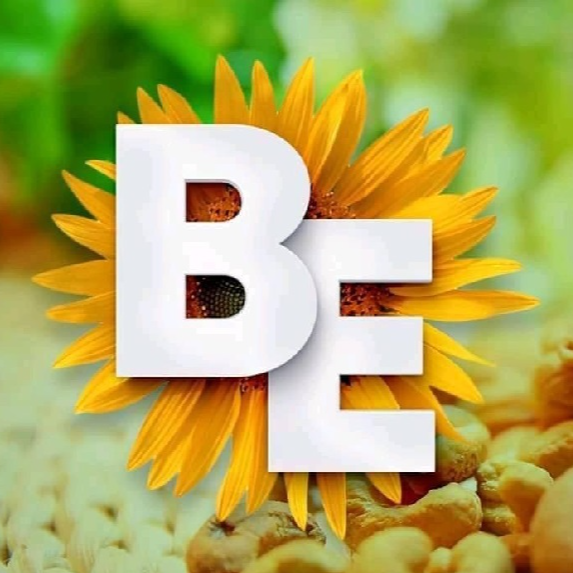 BEM ESTAR PRODUTOS NATURAIS 🌻 - logo