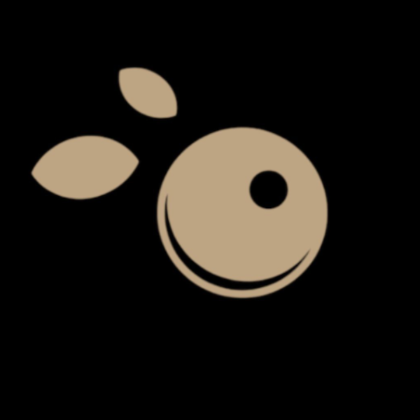 Combina Açaí  - logo