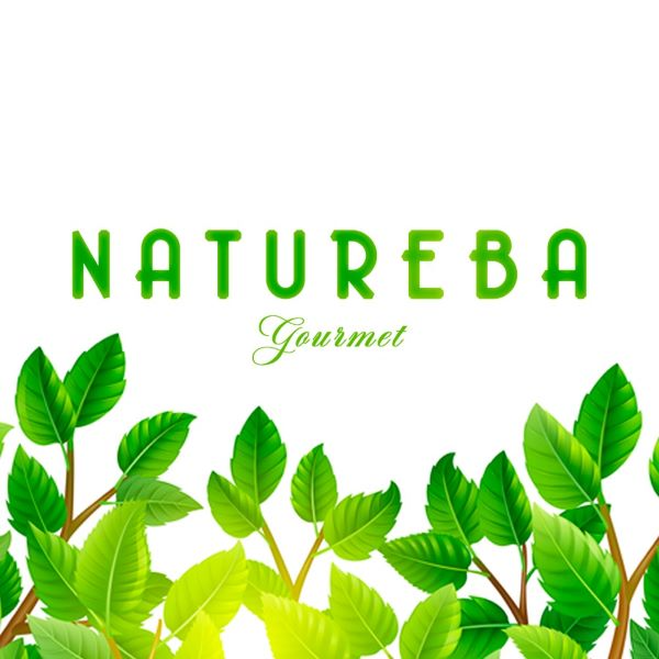 Natureba - logo