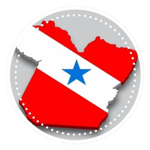 DELICIAS DO PARÁ - logo