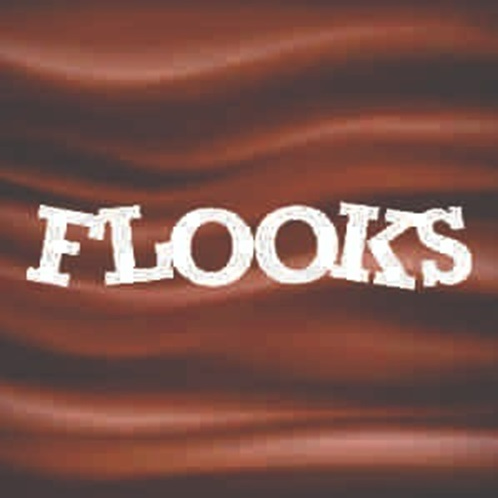  Flooks Sorveteria - logo