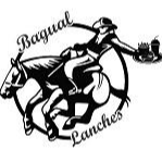 Bagual Lanches - logo
