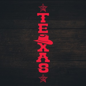 TEXAS - logo