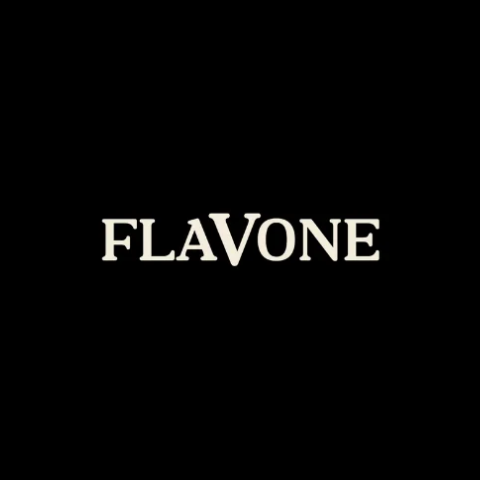 Flavone - Lajeado - logo