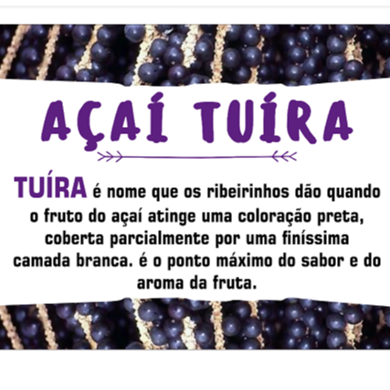Açaí Tuíra  - logo