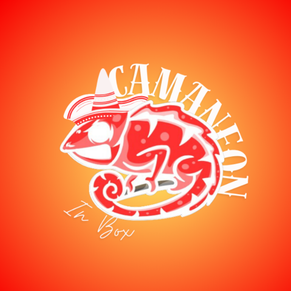 Camaneon in box - logo