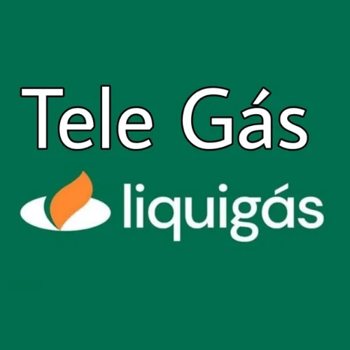 Tele Gás Liquigás - logo