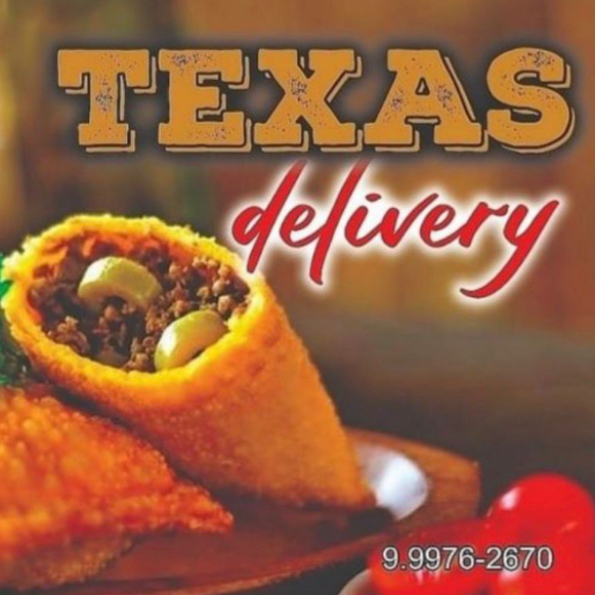 Texas Delivery  - logo