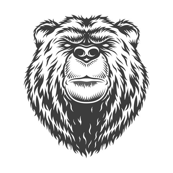 Tabaracia e Conveniência - Wild Store - logo