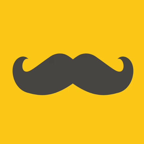 Mr Shaw - Shawarmas e Esfihas - logo