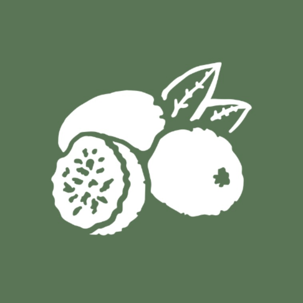 Noz Moscada Marmitaria - Lajeado - logo