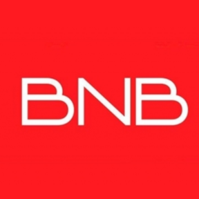 Boi na Brasa BNB Cozinha Brasileira - logo