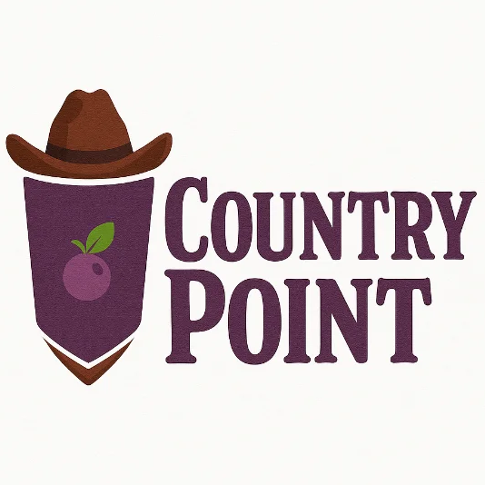 AÇAÍ COUNTRY POINT NOVO - logo