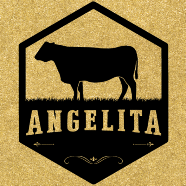 Angelita Casa de Carnes - logo