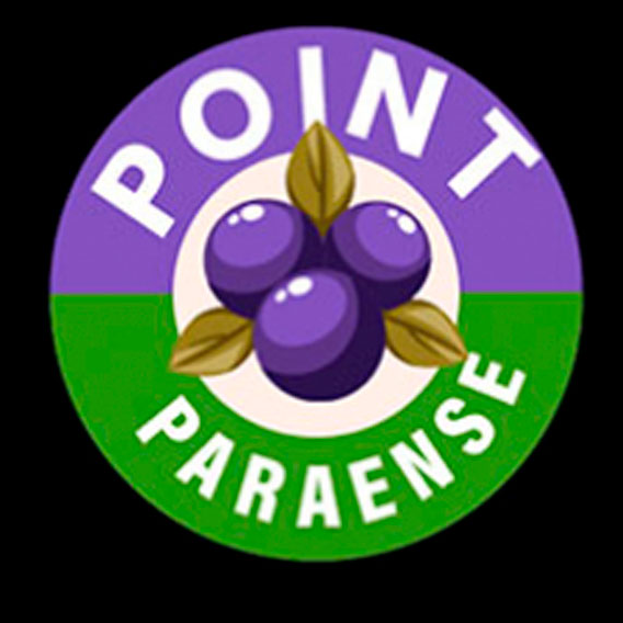 Point Paraense - logo